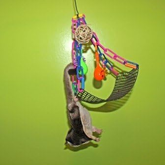 Rockin Maraca Swing & Jazzy Upside Down Swing Toy Bundle for Sugar Gliders
