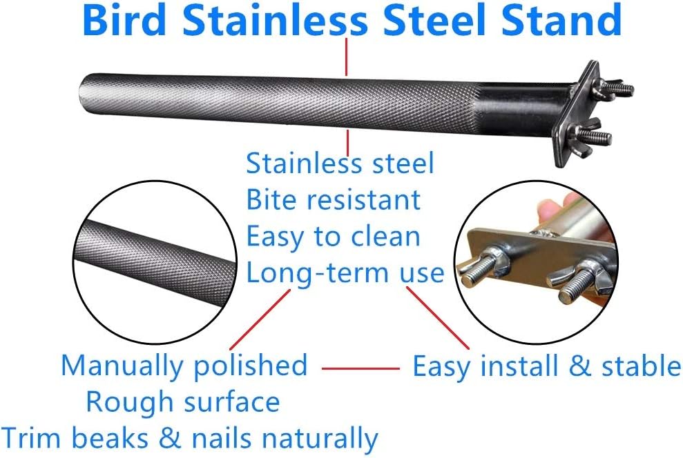 Bird Perch Stainless Steel Stand Parrot Rod Grinding Claws Trimming Beak Nails Grinding Stick Exercise Platform for Parakeet Cockatiel Conure African Grey Macaw Finch Bird Cage Accessories (L)