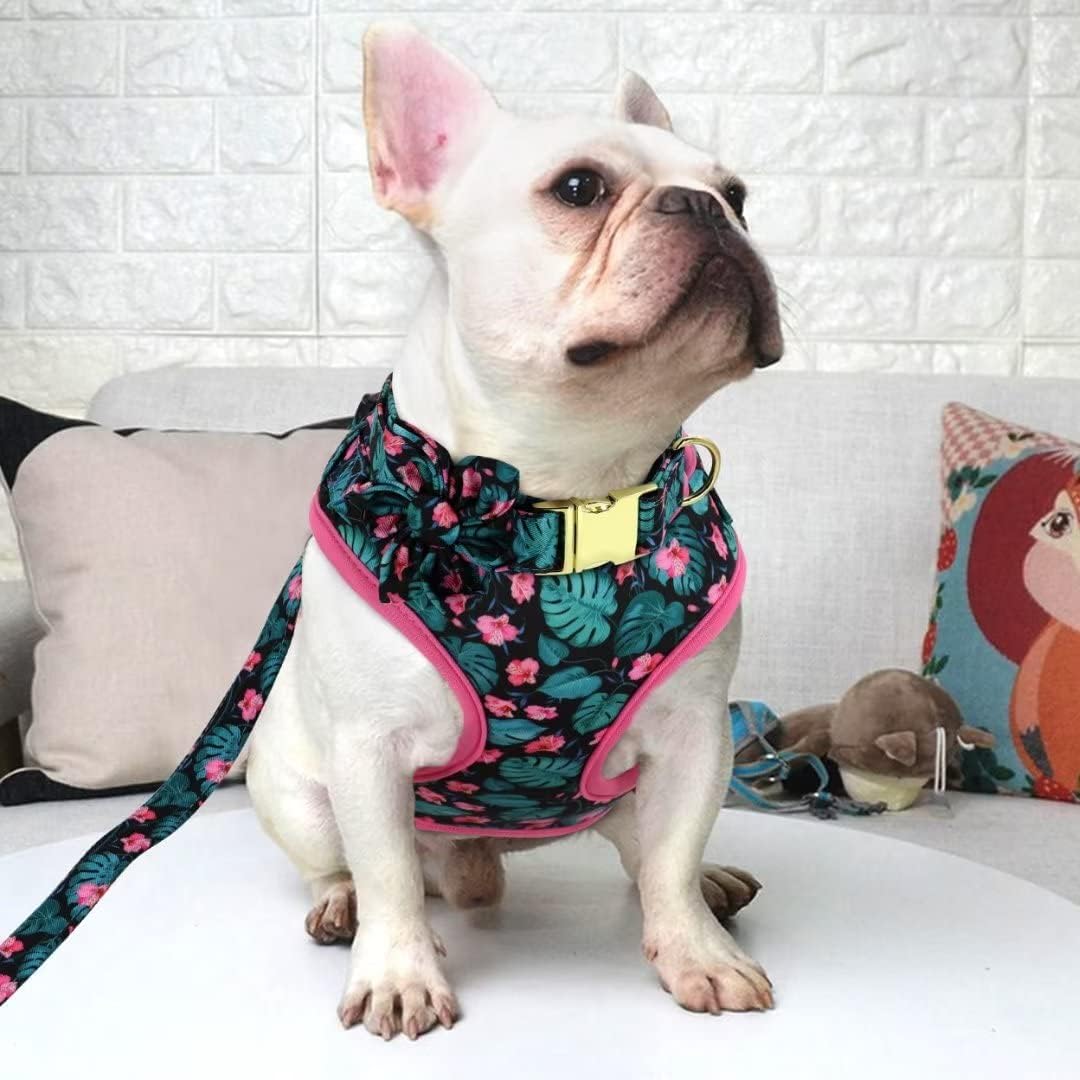 Beirui Cute Girl Dog Collars, Harnesses & Leashes Set - Adjustable Dog Collar and Leash Set with Flower - Soft Mesh Dog Vest Harness for Puppies Small Medium Dogs (Green,M)