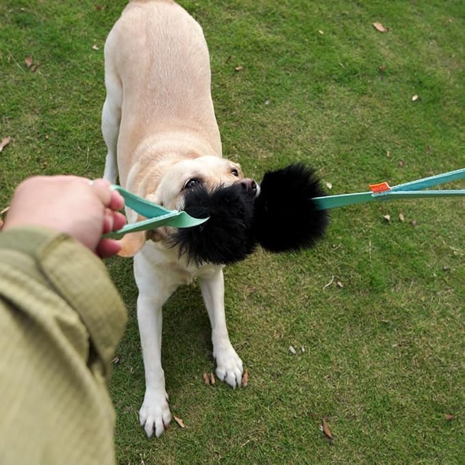 HOWGO Dog Bite Tug Toy with 2 Strong Handles - Made of Natural Sheepskin - Perfect for Tug of War, Fetch & Puppy Training - Ideal for Medium to Large Breeds (Orange)