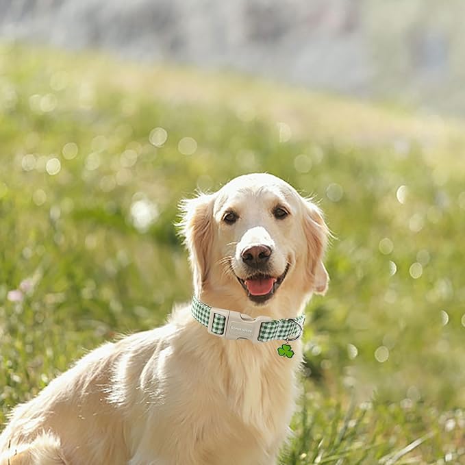 Lionet Paws St. Patrick Dog Collar, Comfortable Adjustable Green Collar with Green and White Grid Pattern for Small Male Female Dogs Collars, Neck 10-16 inches