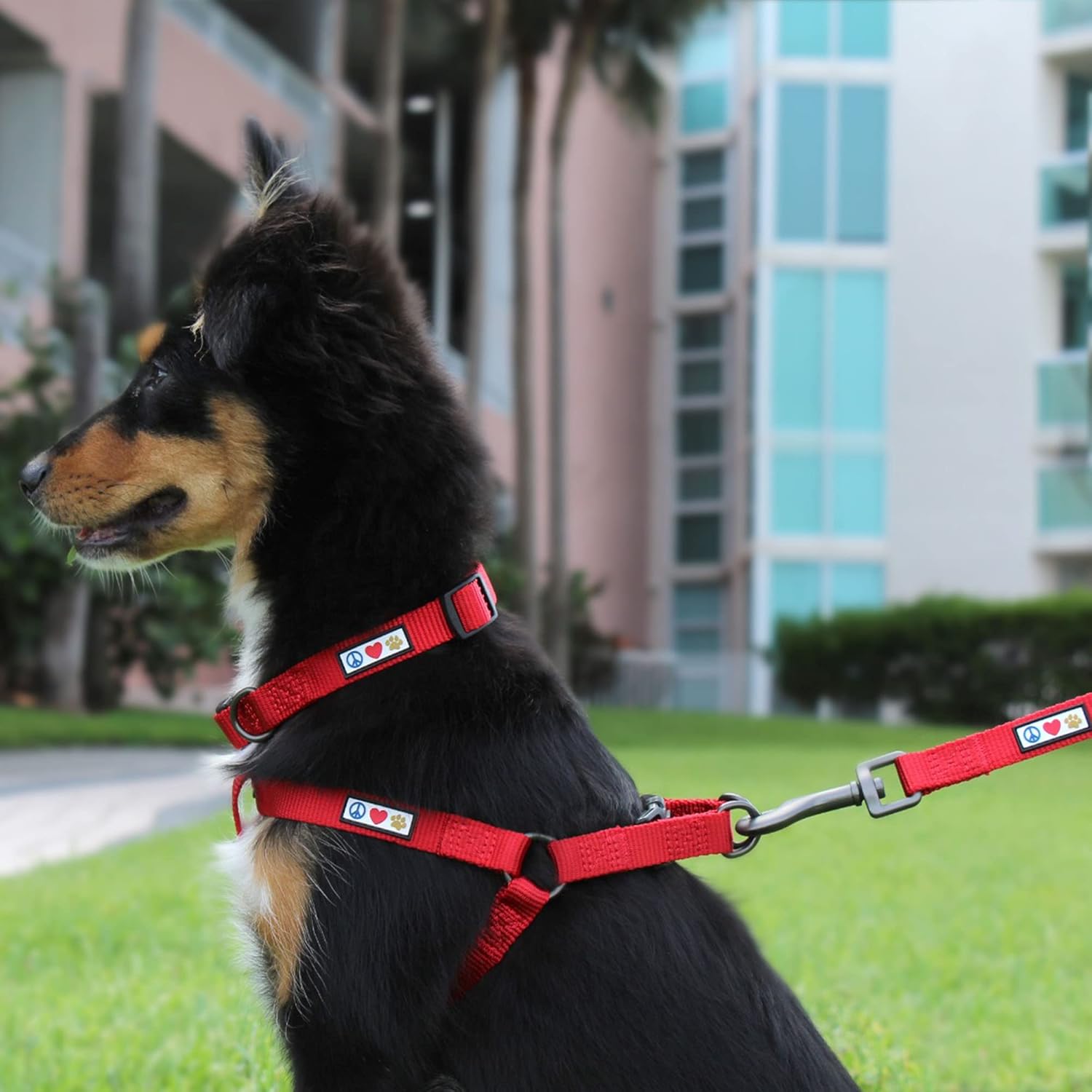 Pawtitas Solid Color Step-in Dog Harness - Red, Large, for Training & Walking Your Puppy