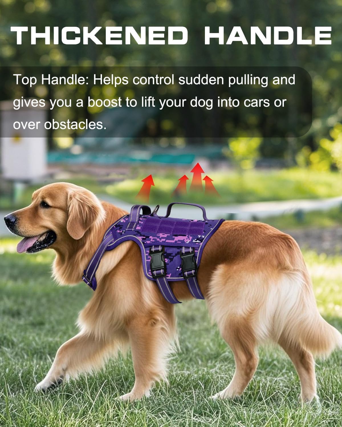 Small Dog Harness, Heavy Duty Tactical No Pull Dog Harness, No Choke, Easy On and Off Pet Vest with Molle System, Adjustable Reflective Dog Vest with Breathable Padded for Walking Hiking Training