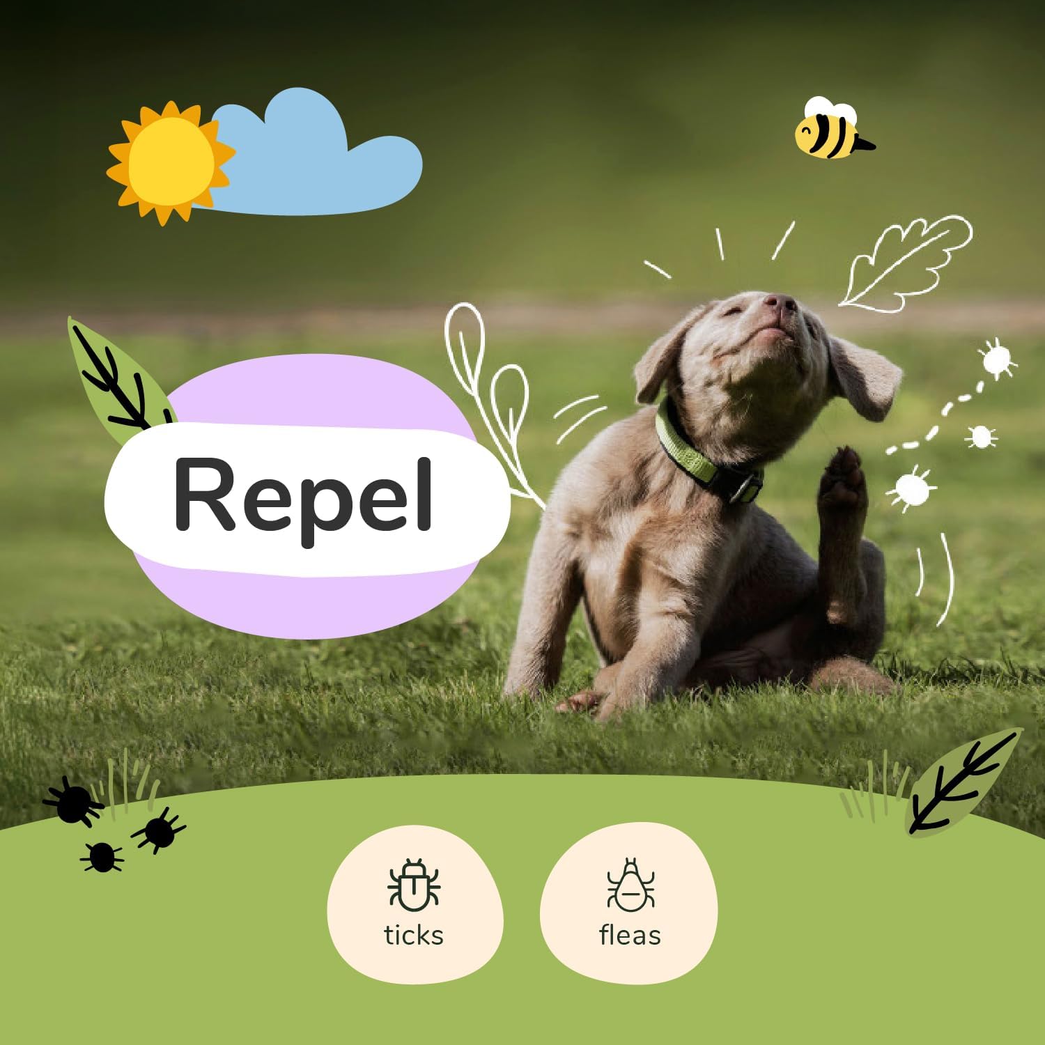 kin+kind | Plant-Based Flea and Tick Spray for Dogs (12 fl oz) | Lavender