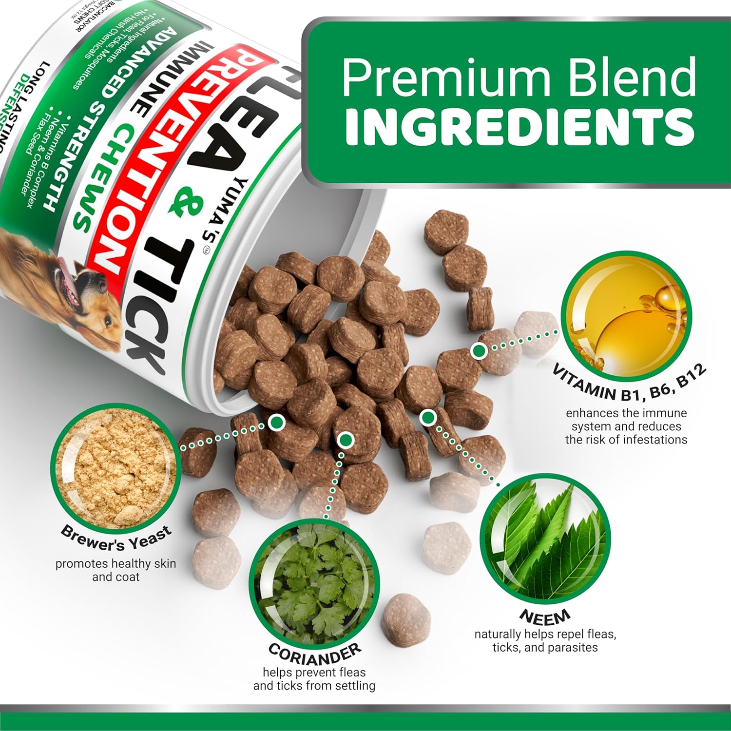 Flea and Tick Prevention for Dogs Chewables - 170 Treats - Natural Dog Flea and Tick Treatment Chewable Supplement - Oral Pills - All Breeds & Ages - Soft Chews - Made in USA - Bacon Flavor