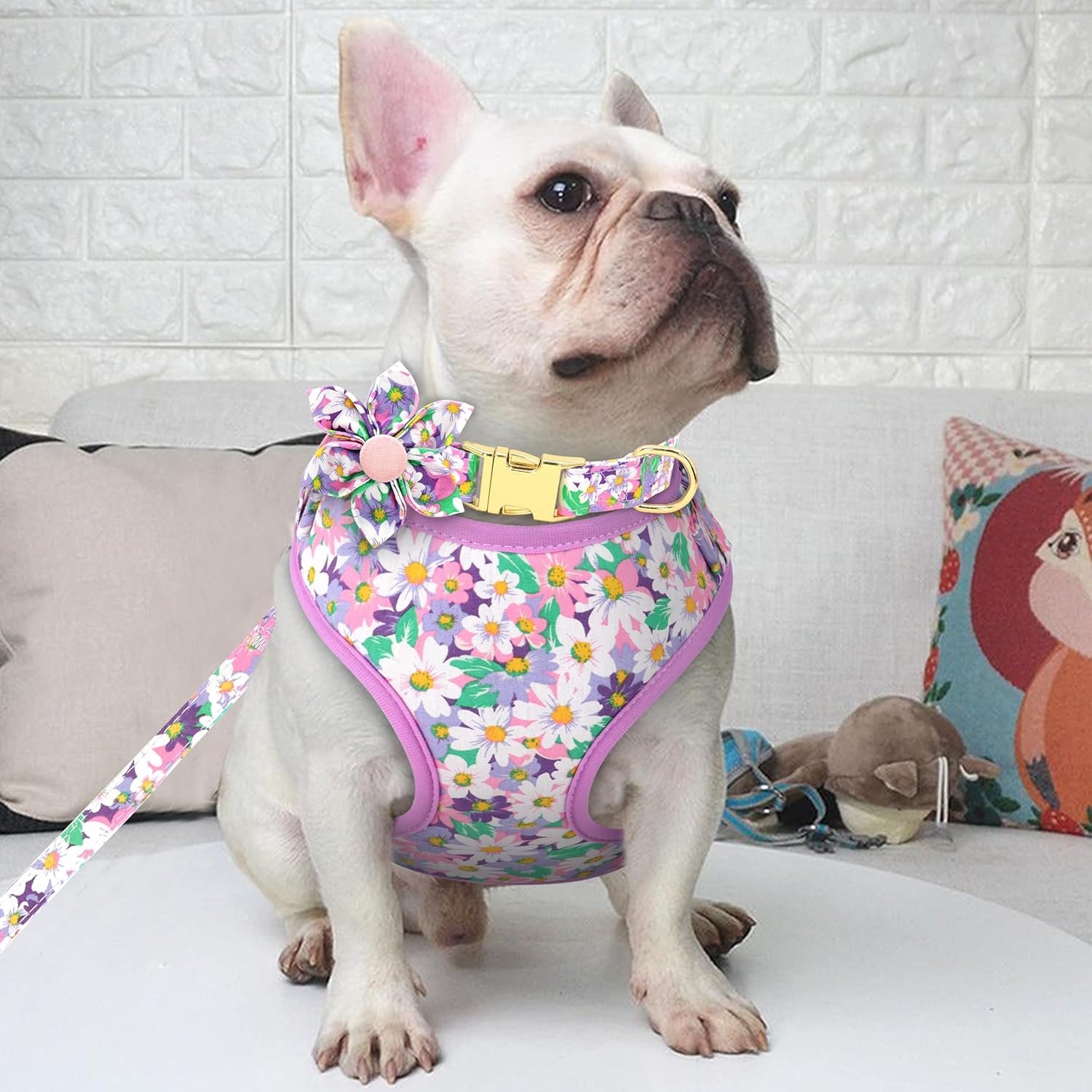 Beirui Cute Girl Dog Collars, Harnesses & Leashes Set - Adjustable Dog Collar and Leash Set with Flower - Soft Mesh Dog Vest Harness for Puppies Small Medium Dogs (Purple,XS)