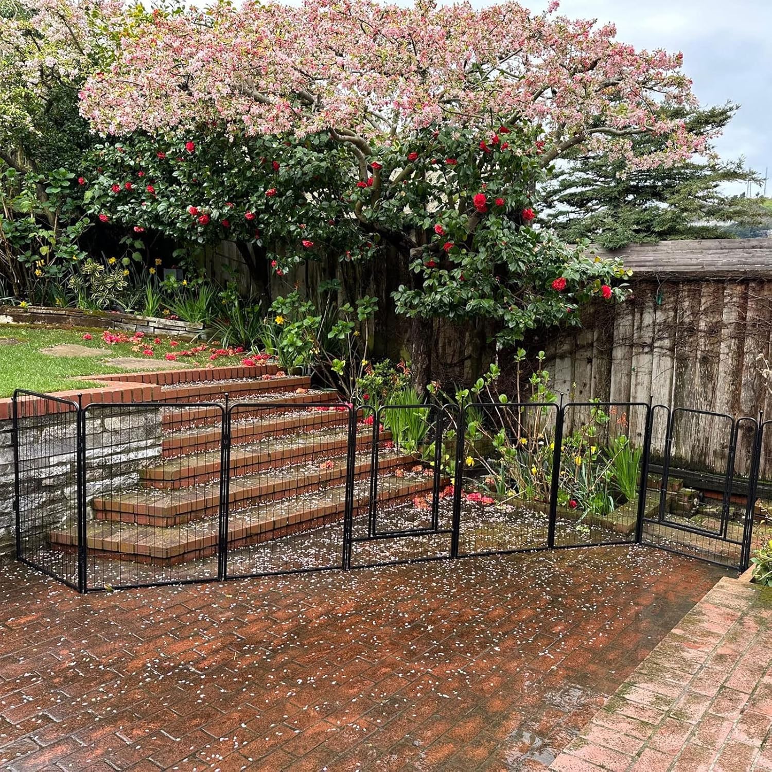 FXW Fence-to-Wall Anchor (Pack of 4) for Use with Dog Playpen in Yard, Garden, Doorways, Fireplace, Indoor/Outdoor, Fits All Heights of FXW Rollick/Homeplus/Aster Playpen, Black│Patented